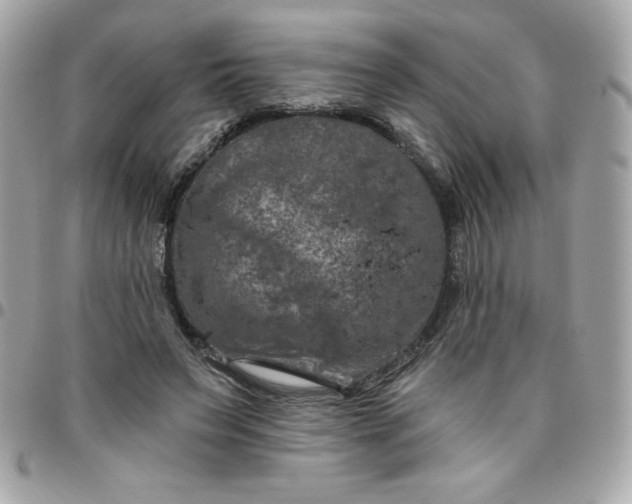 X0000096470495200802071900