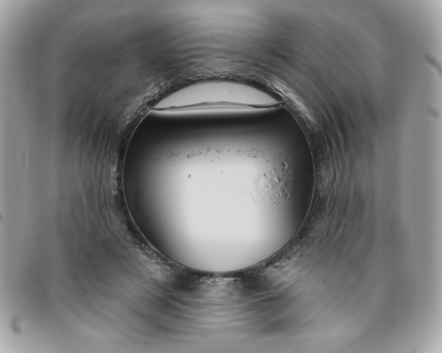 X0000096470497200802071900