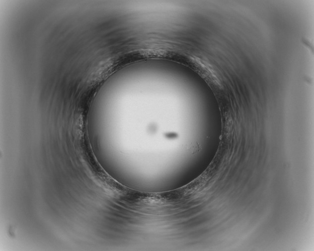 X0000096470498200802071900