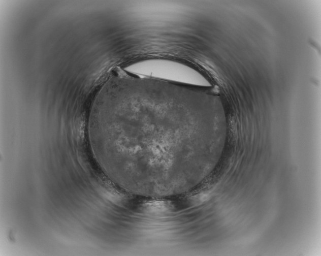 X0000096470499200802071900