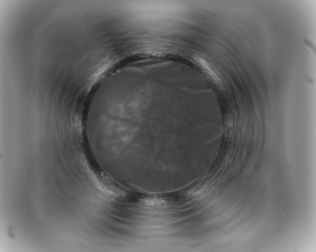 X0000096470500200802071859