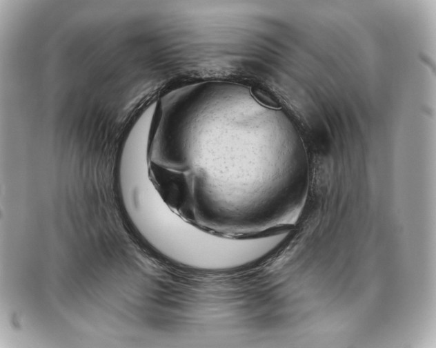 X0000096470501200802071859