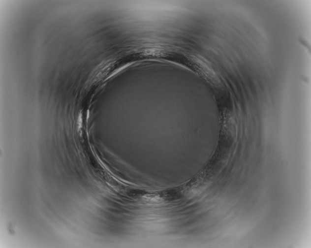 X0000096470502200802071859