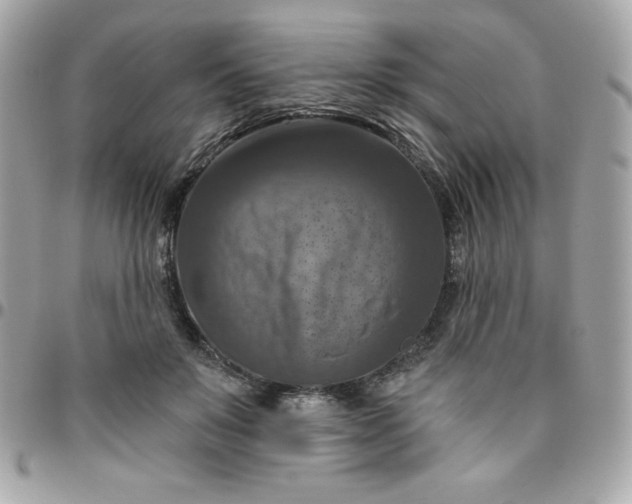 X0000096470503200802071859