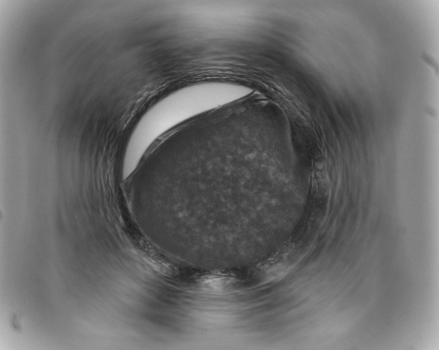 X0000096470504200802071859