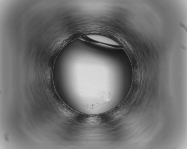 X0000096470505200802071859