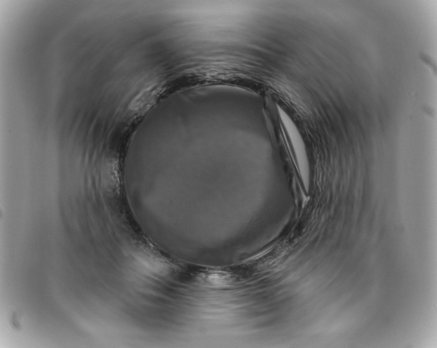 X0000096470506200802071859