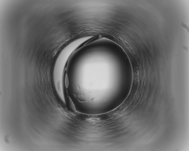 X0000096470508200802071859