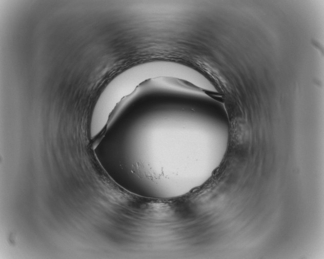 X0000096470509200802071859