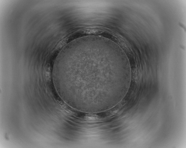 X0000096470510200802071859