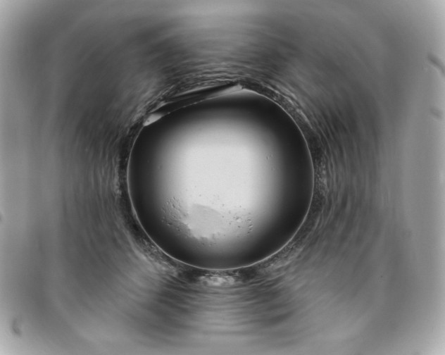 X0000096470512200802071859