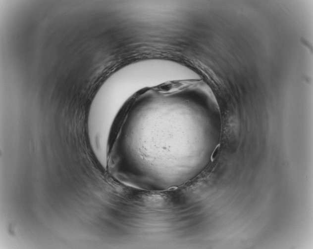 X0000096470513200802071859