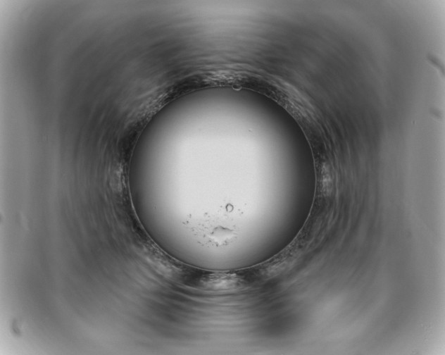 X0000096470514200802071859