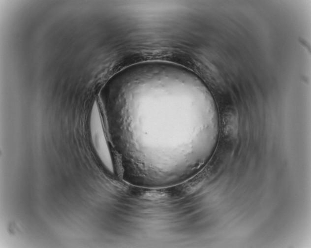 X0000096470515200802071859