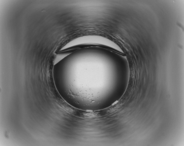 X0000096470516200802071859