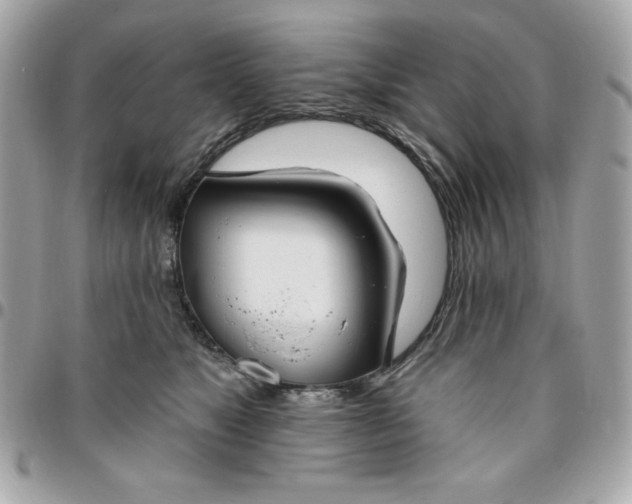 X0000096470517200802071859