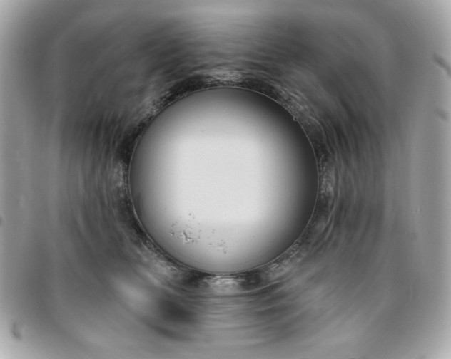 X0000096470518200802071859