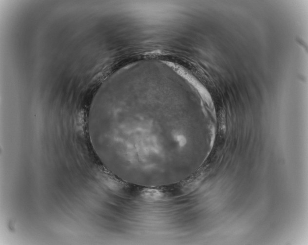 X0000096470519200802071859