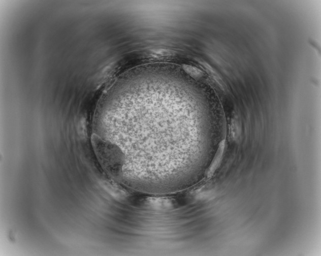 X0000096470520200802071859