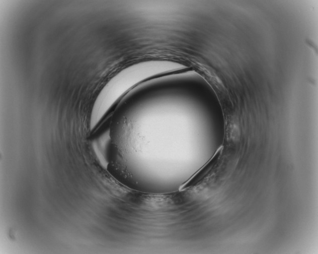 X0000096470521200802071859