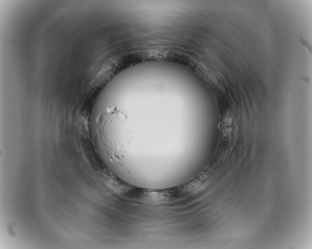 X0000096470522200802071859