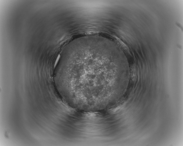 X0000096470523200802071859