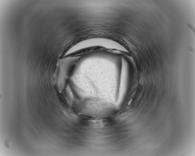 X0000096470524200802071859