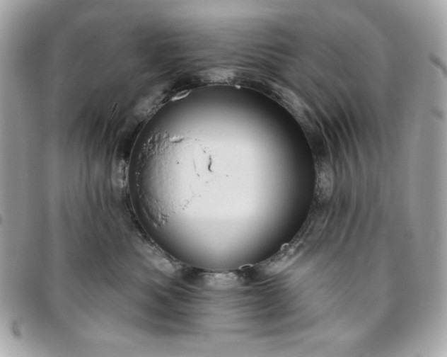 X0000096470525200802071859