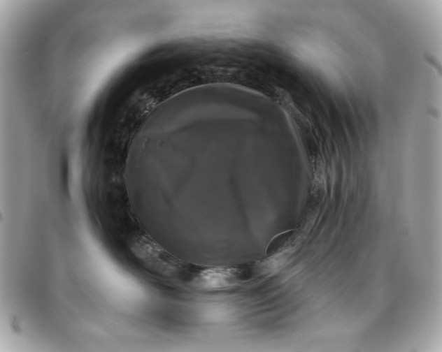 X0000096470526200802071859