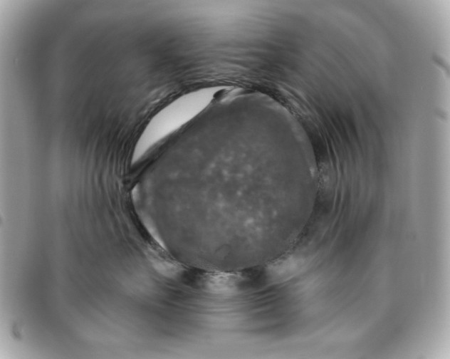 X0000096470527200802071859