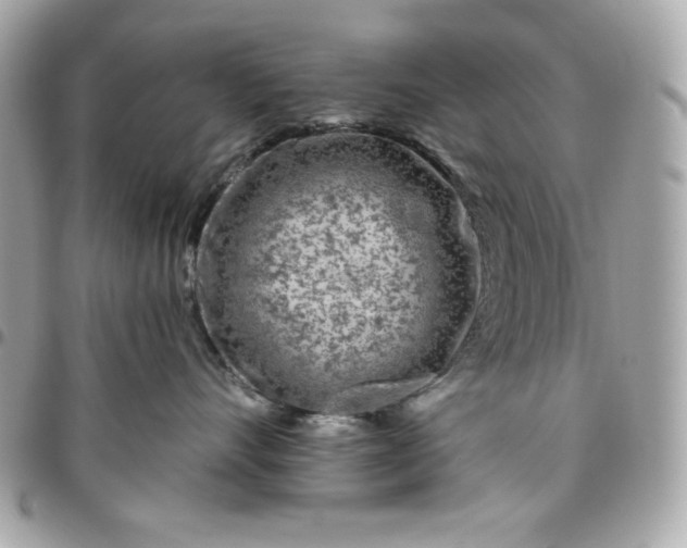 X0000096470528200802071859