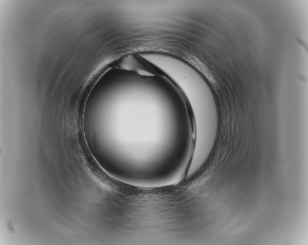 X0000096470530200802071858