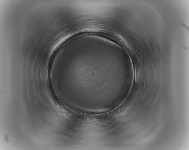 X0000096470531200802071858