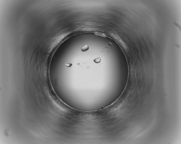 X0000096470533200802071858