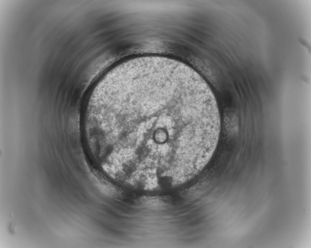 X0000096470534200802071859