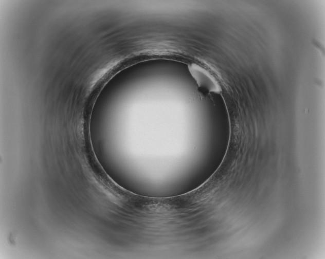 X0000096470535200802071859