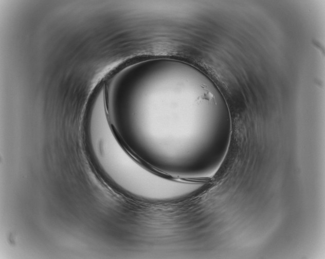 X0000096470536200802071859