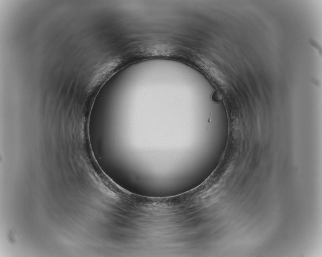 X0000096470537200802071859