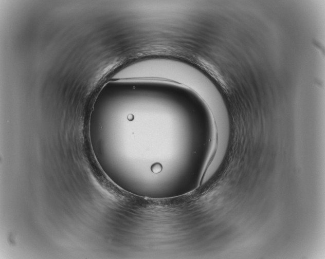 X0000096470538200802071859