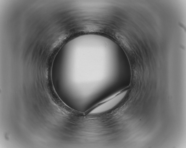 X0000096470539200802071859