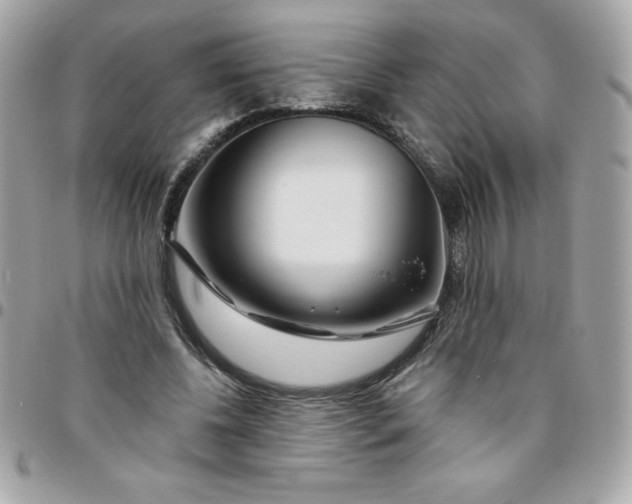 X0000096470540200802071859