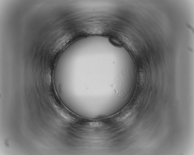 X0000096470541200802071859