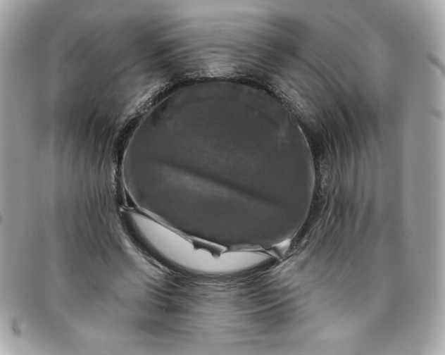 X0000096470542200802071859