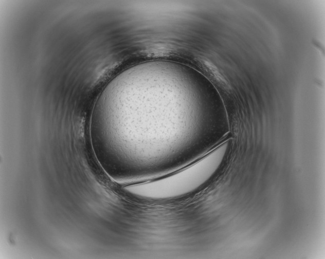 X0000096470543200802071859