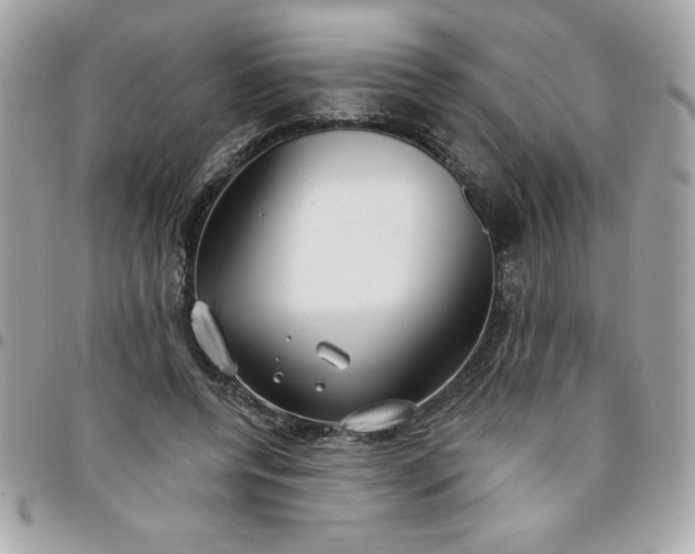 X0000096470544200802071859