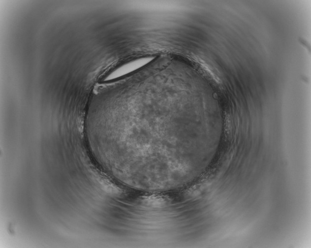 X0000096470545200802071859