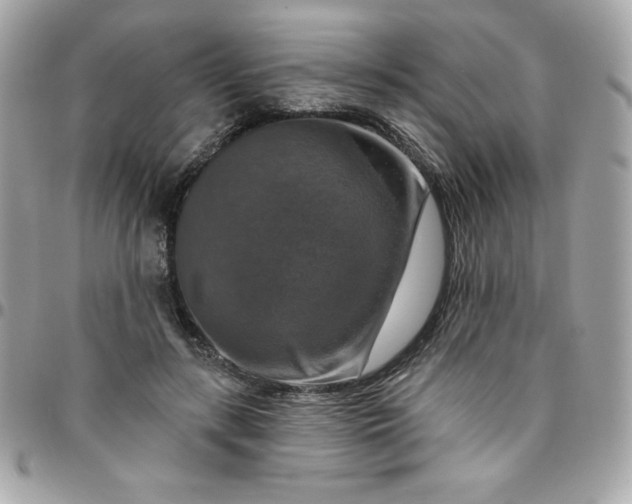 X0000096470547200802071859