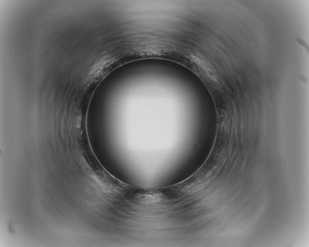 X0000096470548200802071859