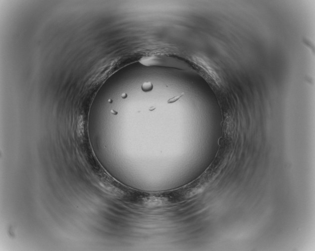 X0000096470549200802071859