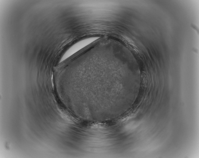 X0000096470550200802071859